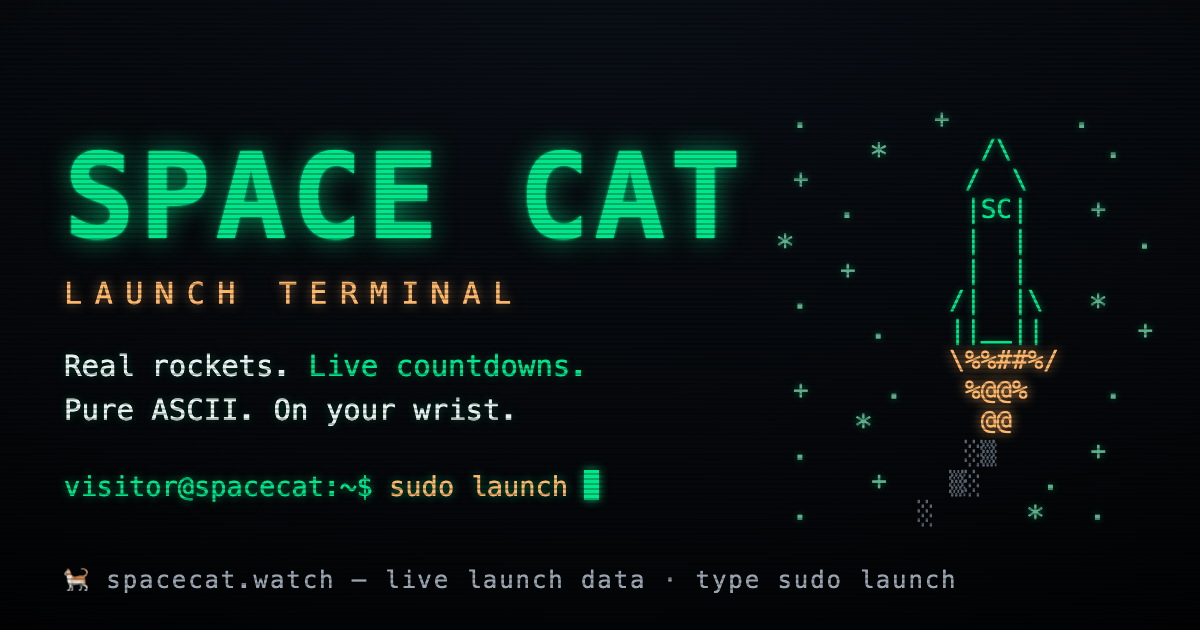 SPACE CAT — my rocket launch tracker got a little out of hand logo